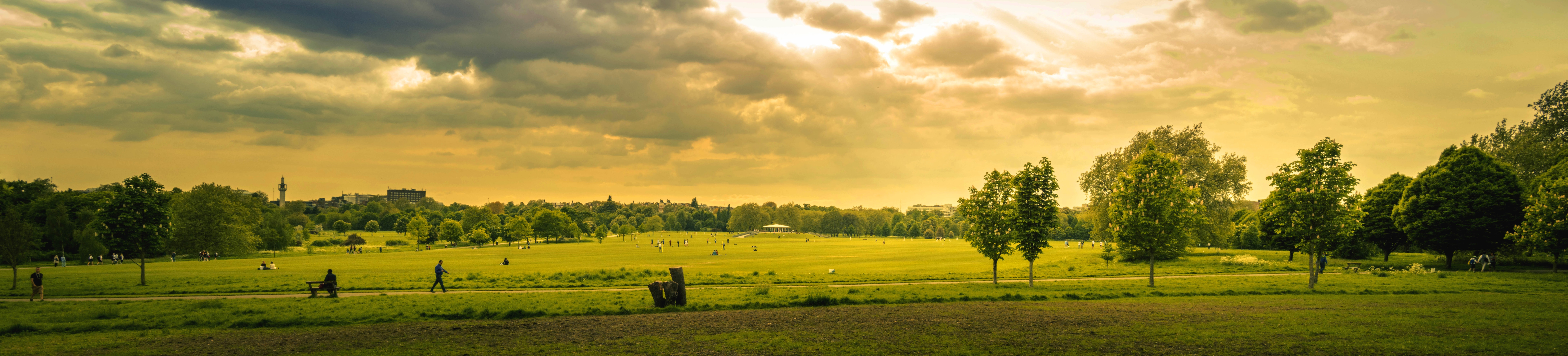Panorama of a nature park